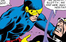 Alexander Summers and Scott Summers (Earth-81727) from What If? Vol 1 27 0001.jpg