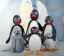 Pingu and Pinga's family