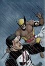Dark Reign The List - Punisher Vol 1 1 Variant 2nd Printing.jpg