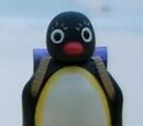 Pingi