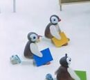 Baby Penguins