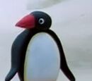Pingg