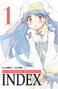 A Certain Magical Index Manga v01 French cover.jpg