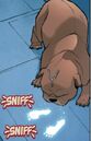 Lockjaw (Earth-97161) from Tails of the Pet Avengers Vol 1 1 0002.jpg