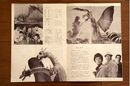 1964 MOVIE GUIDE - GHIDORAH, THE THREE-HEADED MONSTER PAGES 1.jpg