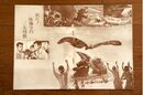 1966 MOVIE GUIDE - GODZILLA VS. THE SEA MONSTER PAGES 2.jpg