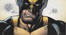 James Howlett (Earth-616) from Wolverine Vol 6 2 001.jpg
