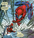 Peter Parker (Earth-616) and Wade Wilson (Earth-616) from Cable & Deadpool Vol 1 24 0001.png