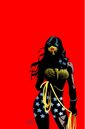 Dark Knight Universe Presents Wonder Woman 1 Textless.jpg