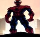 Peter Parker (Earth-TRN579) from Spider-Man Edge of Time 002.jpg