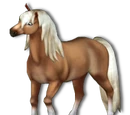 Haflinger