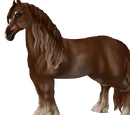 Shire