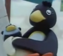 The Yellow Beaked Penguin