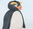 Rock Hopper Penguin