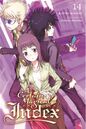 A Certain Magical Index Light Novel v14 cover.jpg