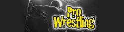 Pro Wrestling